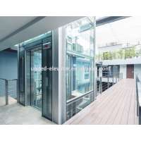 Outdoor Observational Panoramic glass elevator from China supplier